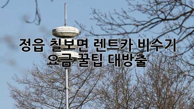 🚗 정읍 칠보면 렌트카 비수기 요금 꿀팁 대방출! ✨